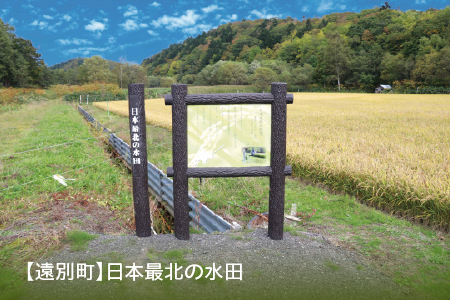 【遠別町】日本最北の水田